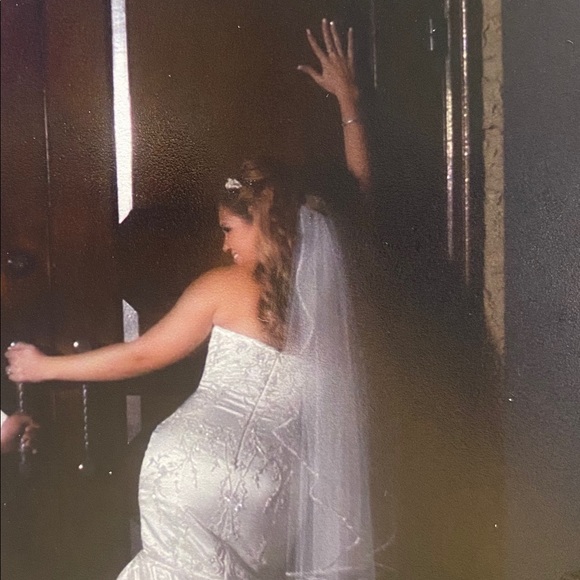 Demetrios Bridal Mermaid style Wedding Gown - Picture 5 of 7